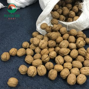 Bulk-American-walnuts